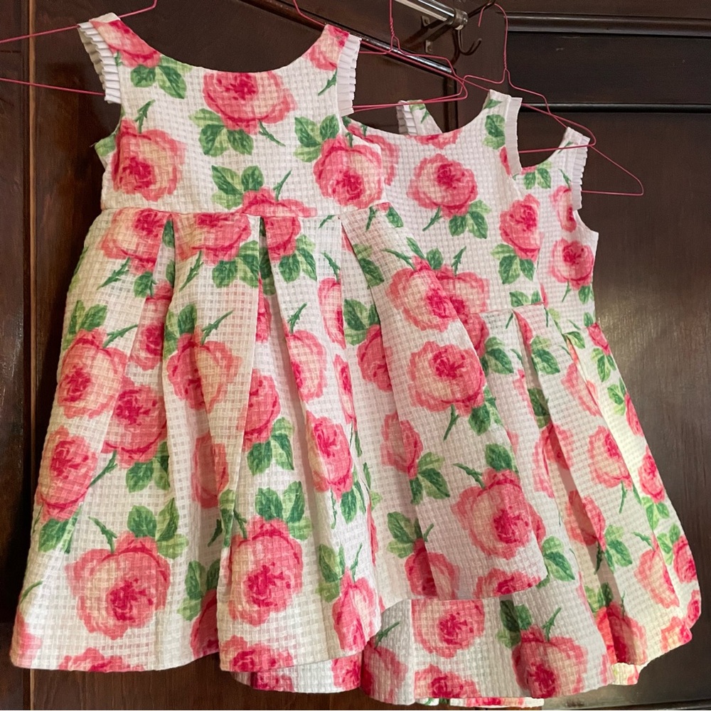 💕Janie and Jack girls pink rose fancy dress match 2t, 4 or 6